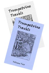 trumpetvine_travels_zine_covers